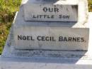 
(son) Noel Cecil Barnes

Elvie May Barnes
b: 1916, d: 1992, aged 76
Cecil Allen Barnes
b: 1910, d: 1999, aged 89

Woodhill cemetery (Veresdale), Beaudesert shire


