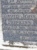 
David John Hopkins
5 Nov 1968, aged 62
Elsie Ellen Hopkins
11 Jun 1991, aged 91
Woodhill cemetery (Veresdale), Beaudesert shire

