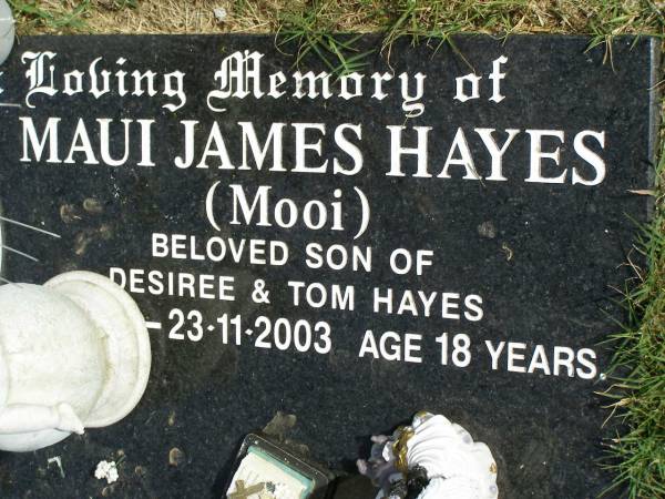 Maui James HAYES (Mooi)  | son of Desiree and Tom Hayes  | b:  9 Apr 1985  | d: 23 Nov 2003  | aged 18  | Woodhill cemetery (Veresdale), Beaudesert shire  |   | 