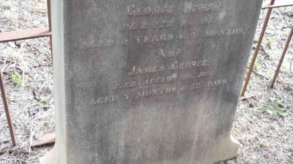 Isabella (CALDICOTT)  | d: 6 Jan 1901 aged 44  | wife of Thomas W CALDICOTT  |   | George Henry CALDICOTT  | d: 27 Feb 1886 aged 5 years 2 months  |   | James George CALDICOTT  | d: 25 Aug 1901 aged 7 months 22 days  |   | Yandilla All Saints Anglican Church with Cemetery  |   | 