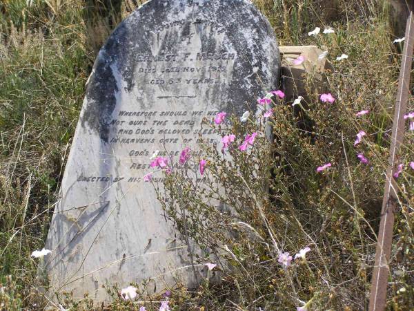 Ernest F. MAUCH,  | died 18 Nov 1915 aged 63 years;  | Yangan Anglican Cemetery, Warwick Shire  | 