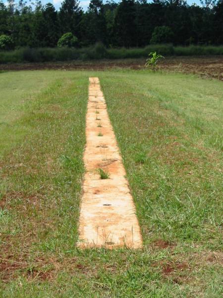 Yarraman cemetery, Toowoomba Regional Council  | 