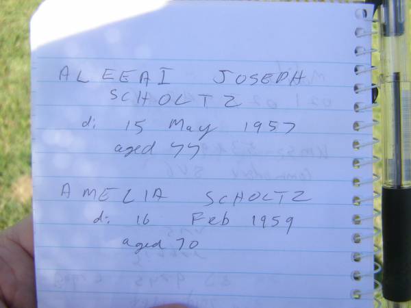 Albert Joseph SCHULTZ,  | died 15 May 1957 aged 77 years;  | Amelia SCHULTZ,  | died 18 Feb 1959 aged 70 years;  | Daphne DONALD,  | wife mother grandmother,  | daughter of Amelia & Joseph SCHULTZ,  | died 1 March 1997 aged 71 years;  | Yarraman cemetery, Toowoomba Regional Council  | 