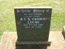A.C.D. (Charlie) LUCAS,
husband father,
died 11 Nov 1988 aged 64 years;
Yarraman cemetery, Toowoomba Regional Council
