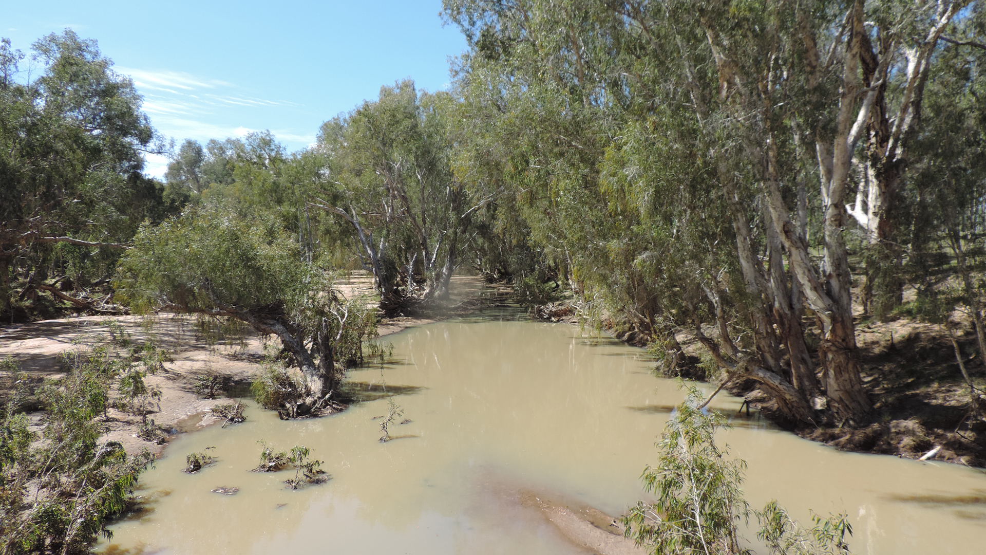 Cape river, near Llanarth